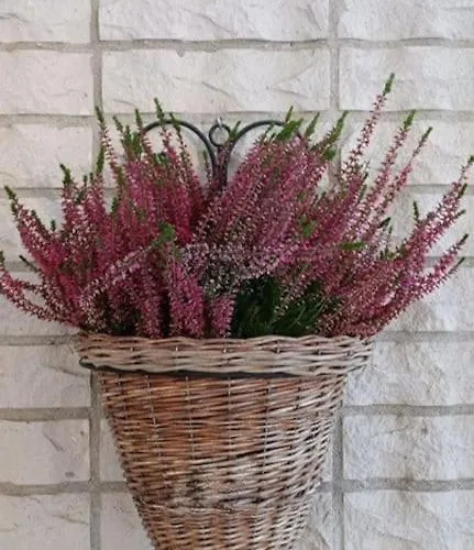 Kataja Dom wakacyjny